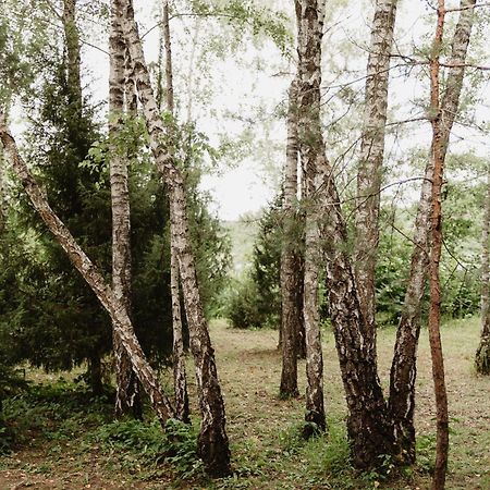 Berzu Namelis - Birch Cabin Kutsyuny Eksteriør billede