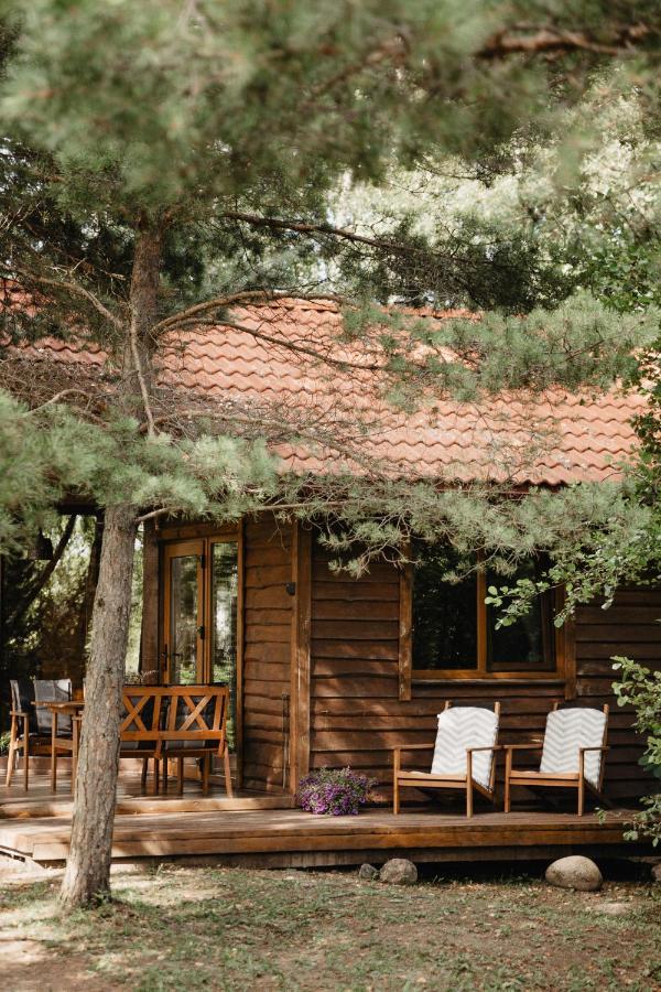 Berzu Namelis - Birch Cabin Kutsyuny Eksteriør billede
