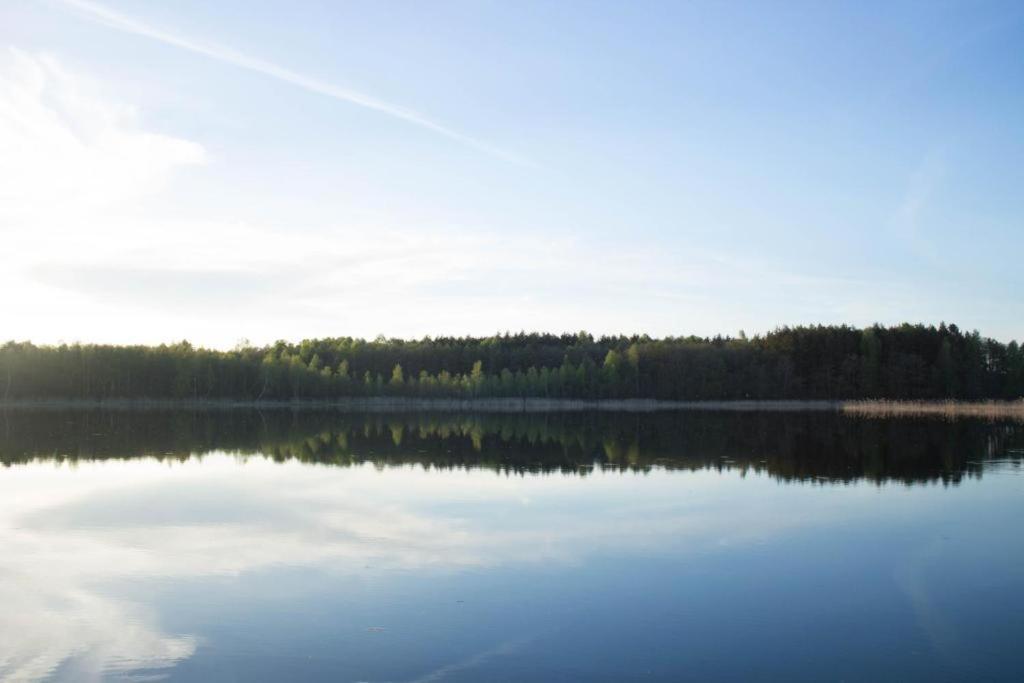 Berzu Namelis - Birch Cabin Kutsyuny Eksteriør billede
