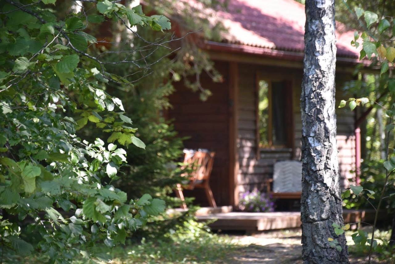 Berzu Namelis - Birch Cabin Kutsyuny Eksteriør billede