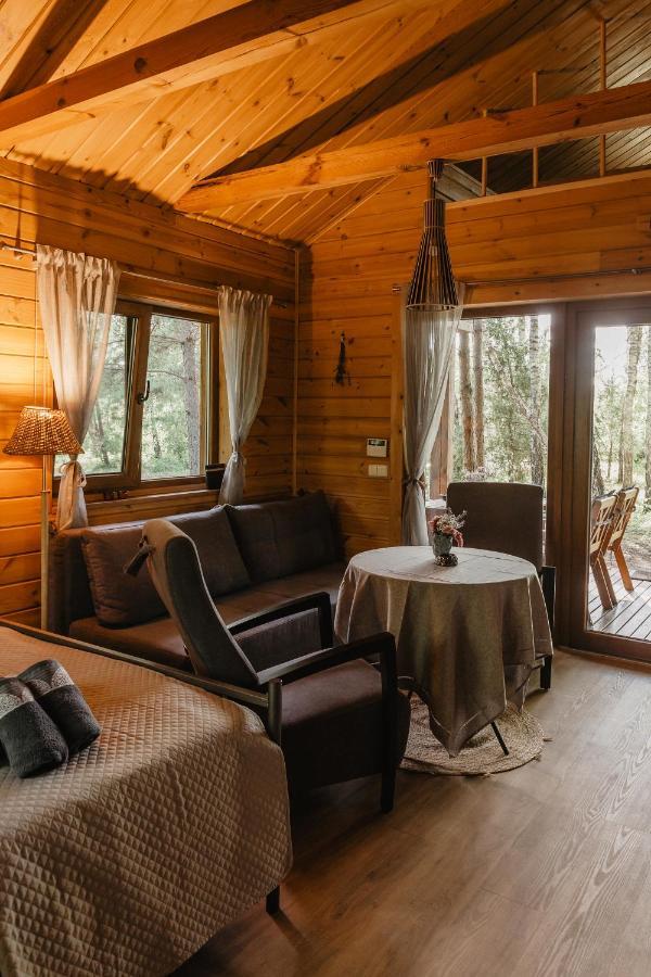 Berzu Namelis - Birch Cabin Kutsyuny Eksteriør billede
