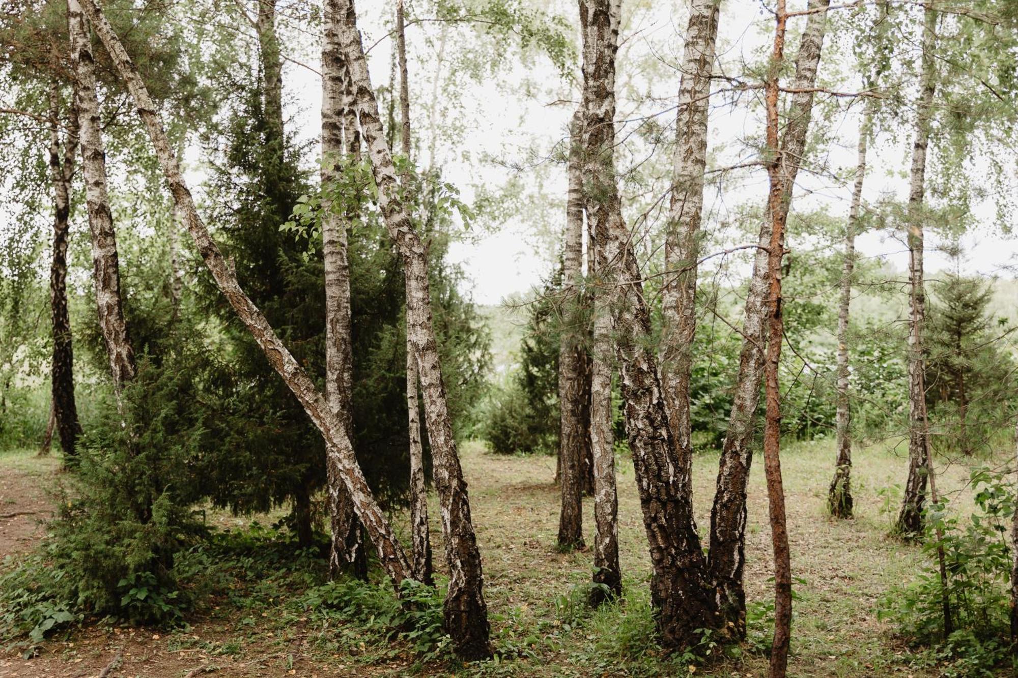 Berzu Namelis - Birch Cabin Kutsyuny Eksteriør billede