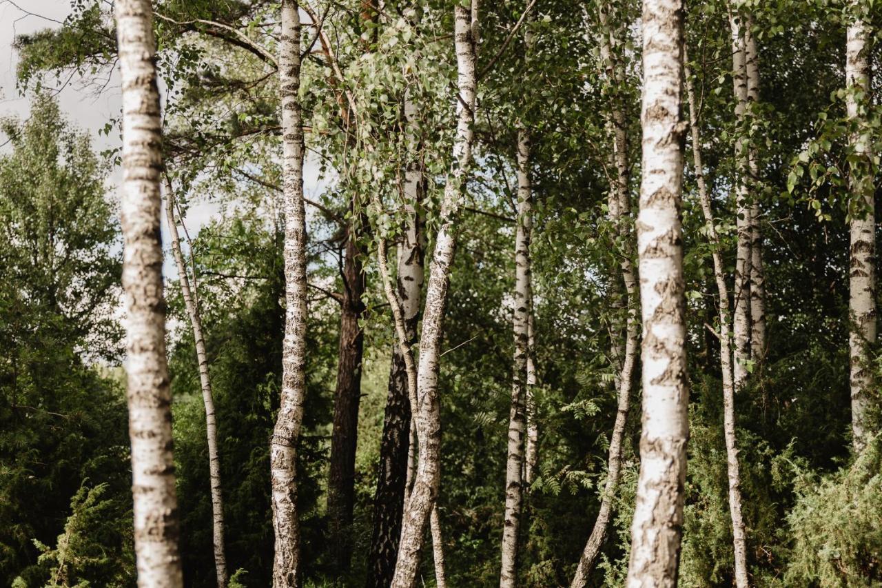 Berzu Namelis - Birch Cabin Kutsyuny Eksteriør billede